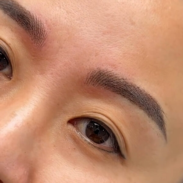 Combination Brows Los Angeles