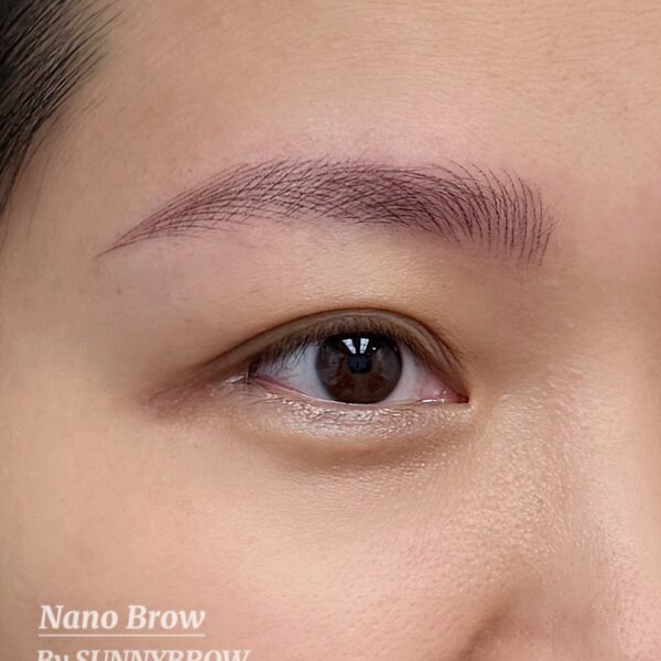 Best Nano Brows Microblading in Los Angeles