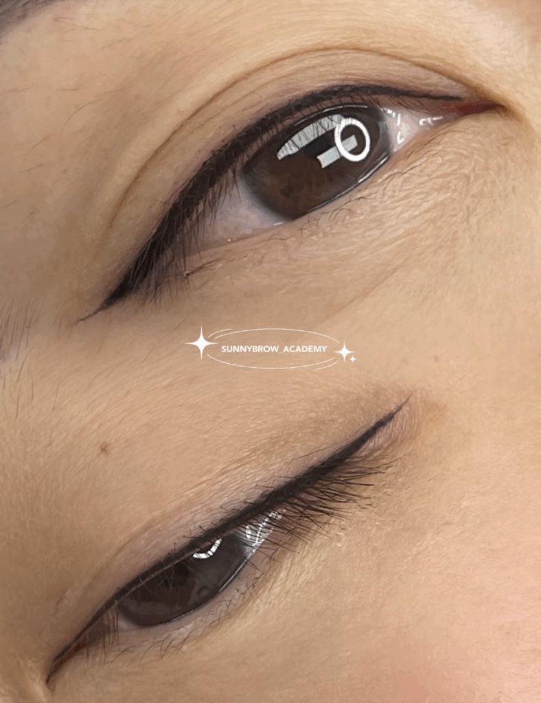 Eyeliner Tattoo - Best Permanent Eyeliner in Los Angeles, Sunny Brow