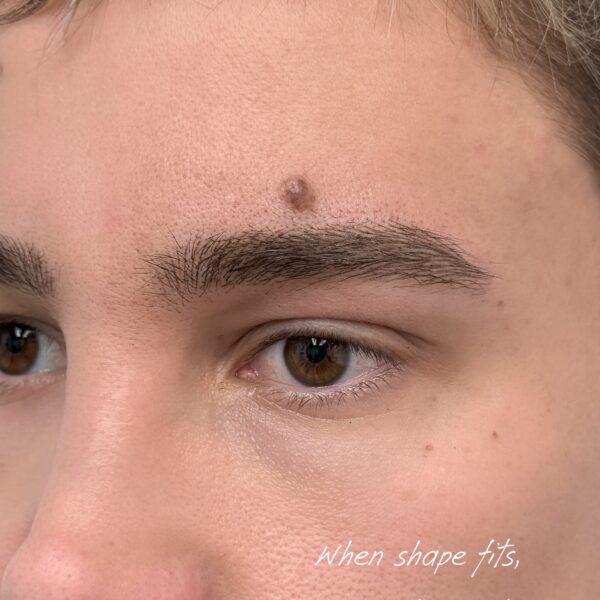 Men's Eyebrows - Nano Brow in Los Angeles