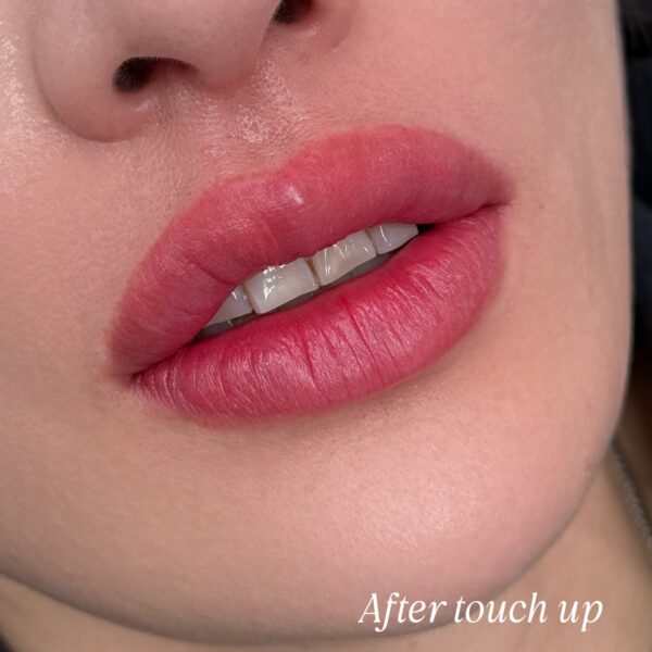 Lip Blush Touchup in Los Angeles - Sunny Brow